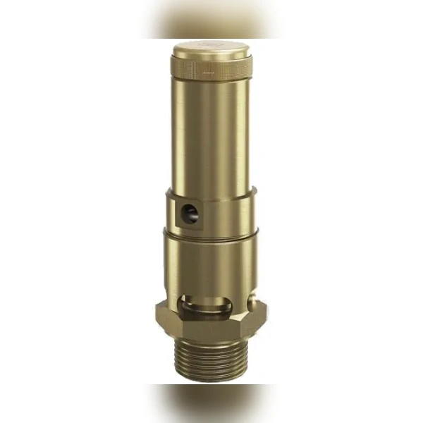 Клапан предохранительный латунный резьбовой Goetze 810-sGK-Ду10-NPT-m/–10/-FKM-9,1/50 (PN50 DN10 )
