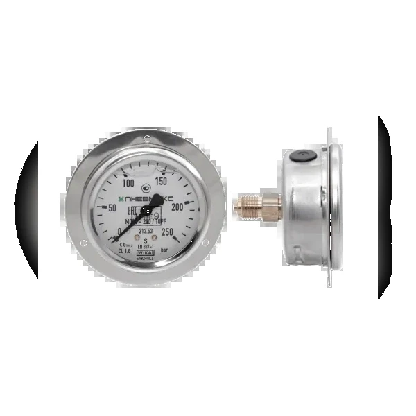 Манометр вибростойкий DUPLOMATIC MS S.p.a. M63-250/10PF_36795212_31194021
