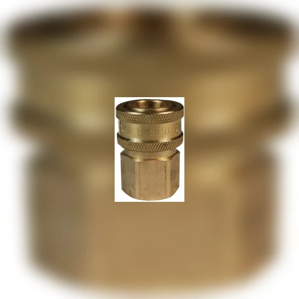 1/2 Розетка БРС E розетка DIXON резьба NPT (латунь) 4EF4-B
