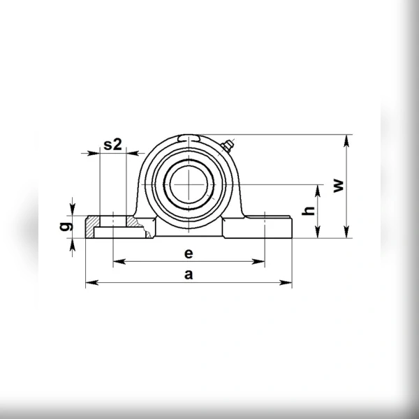 Корпус подшипника ISKRA P204PL (бел. пласт)