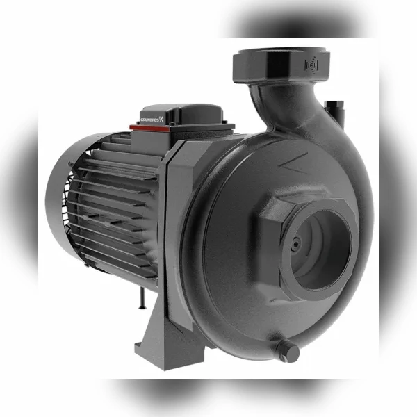 Центробежный насос для систем частного водоснабжения Grundfos NS 30-30 CVBP 98907044