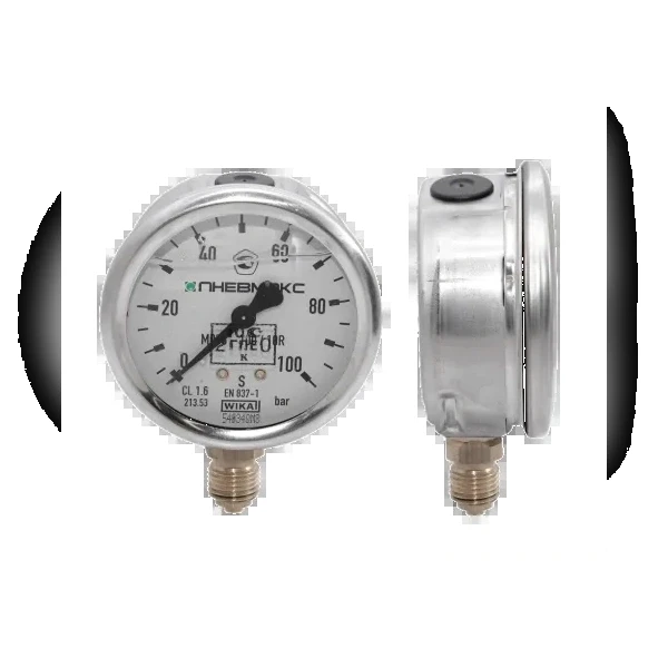 Манометр вибростойкий DUPLOMATIC MS S.p.a. M63-100/10R_36795209_31194015