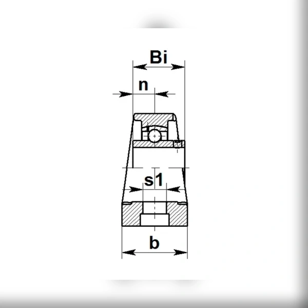 Корпус подшипника ISKRA P204PL (бел. пласт)